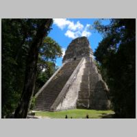 Tikal, photo Bertinnn, tripadvisor.jpg